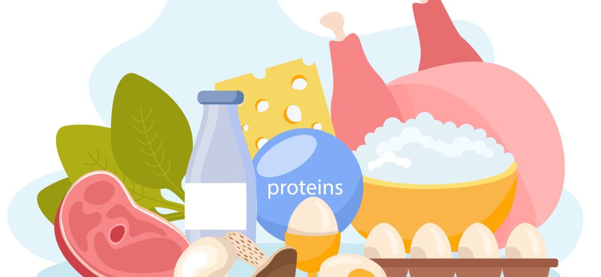 Protein Containing Food Composition