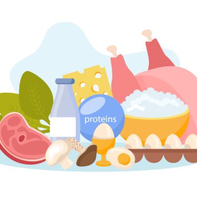 Protein Containing Food Composition