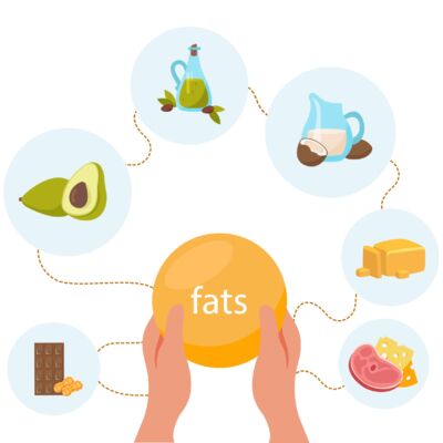 Macronutrients Flat Compositions Set